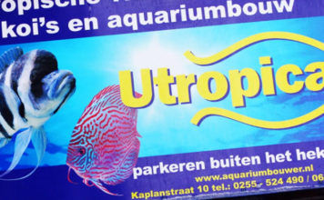 Aquariumbouwer / Utropica / Aqua centraal