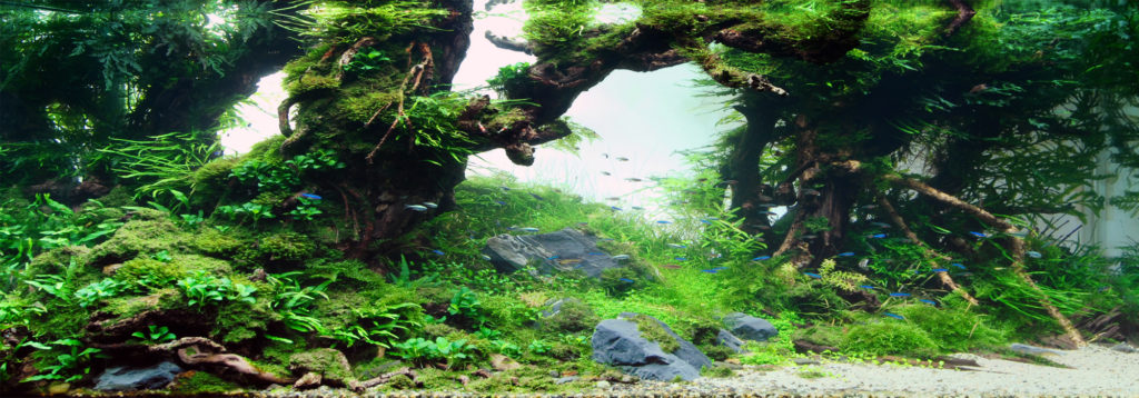 NPK Header
