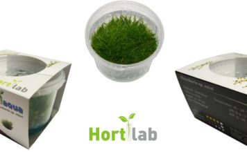 Hortilab, de verborgen in vitro schat. Hortilab