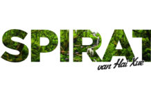 Inspiratie – 春風垂柳 door: Hai Xue (Taiwan) hai xue