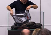 De Diebo Aquascape Experience 2016. Aquascape Experience