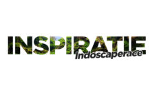 Inspiratie – Indoscaperace 2016