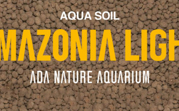 Amazonia Light – Nu verkrijgbaar! Amazonia Light