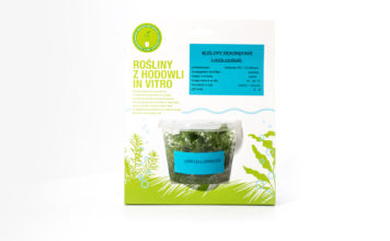 Vitroplant.pl – Een stukje Poolse geschiedenis. vitroplant.pl