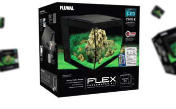 Fluval Flex – Panorama aquarium, maar net even anders