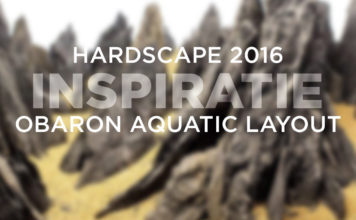 Inspiratie – Hardscape door Obaron Aquatic Layout Obaron Aquatic Layout