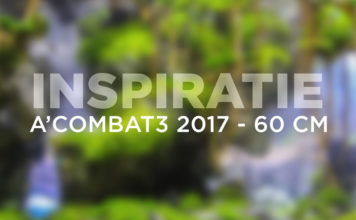 Inspiratie – A’Combat3 2017 – 60 cm aquaria Inspiratie – A'Combat3 2017 - 60 cm aquaria