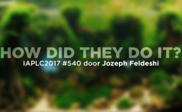 How did they do it – IAPLC 2017 #540 Jozeph Feldeshi